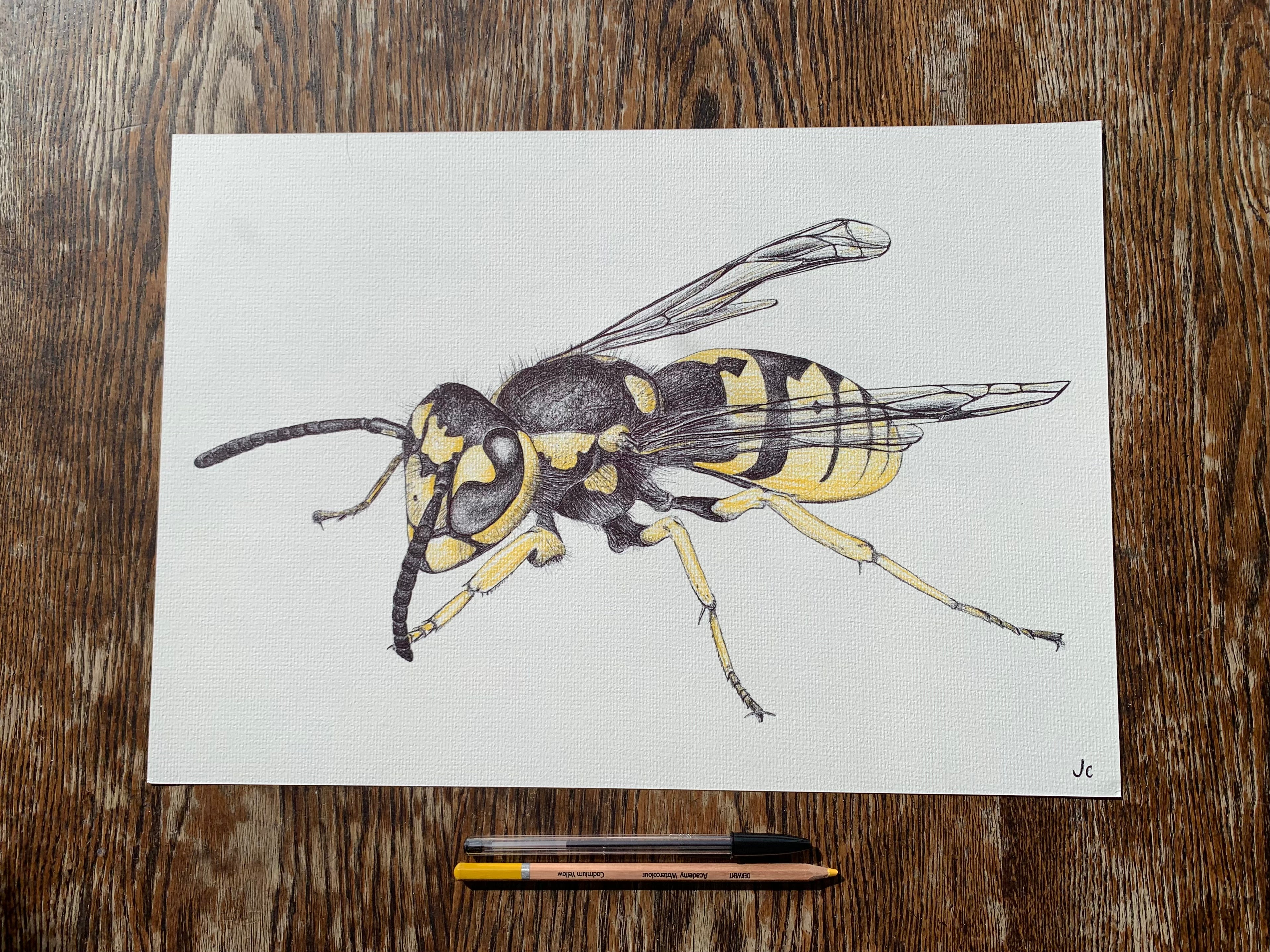 Wasp
